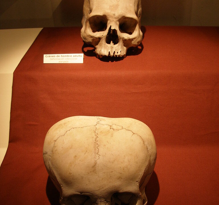 El canibalismo a través de la historia humana