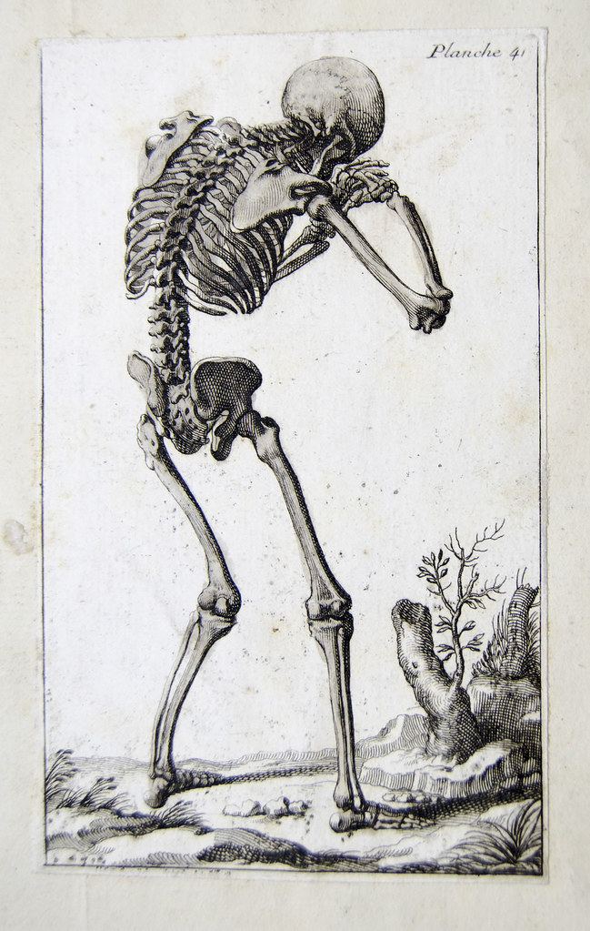 10 datos del cuerpo humano que te van a perturbar