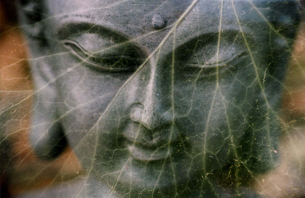 Meditar: la clave está en mirar hacia adentro