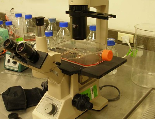 El corazón de la ciencia: ideas puestas a prueba
