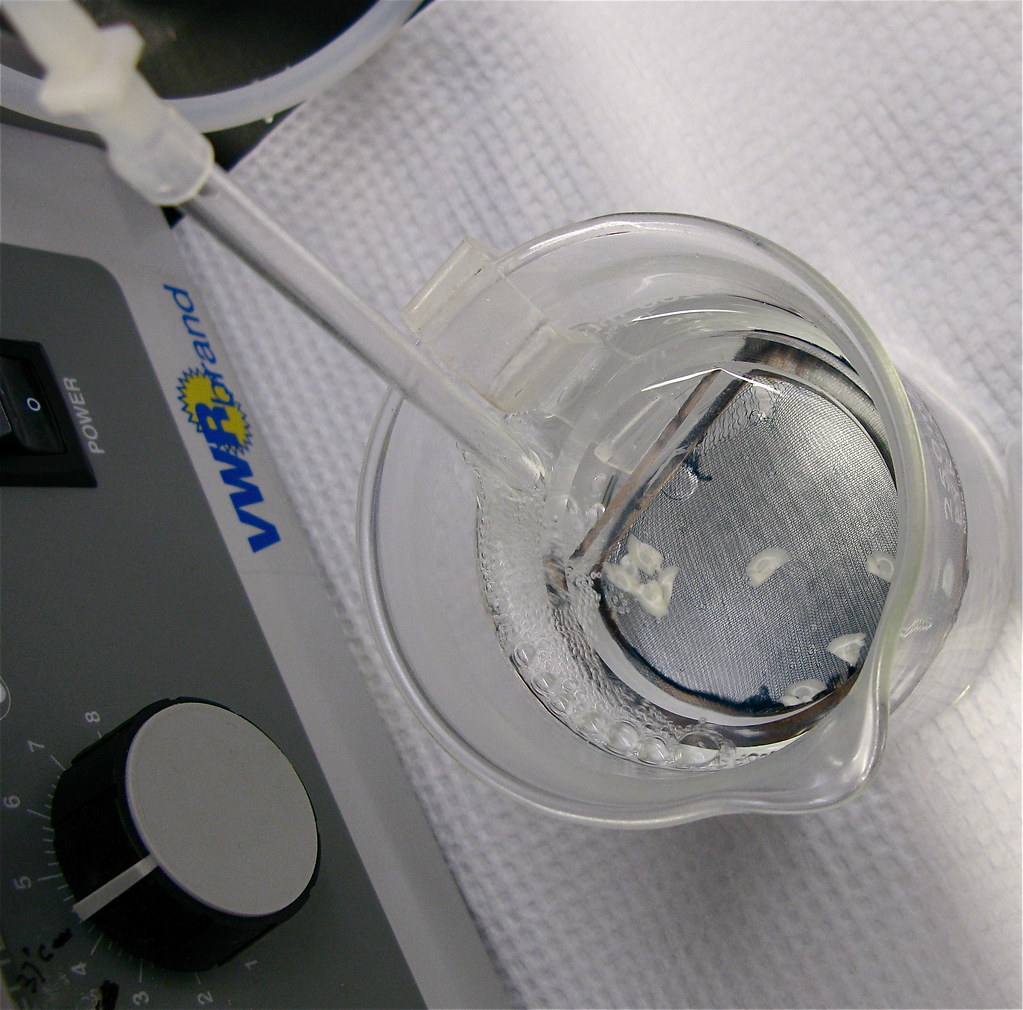 Ratones con cerebro casi humano abren nuevas curas