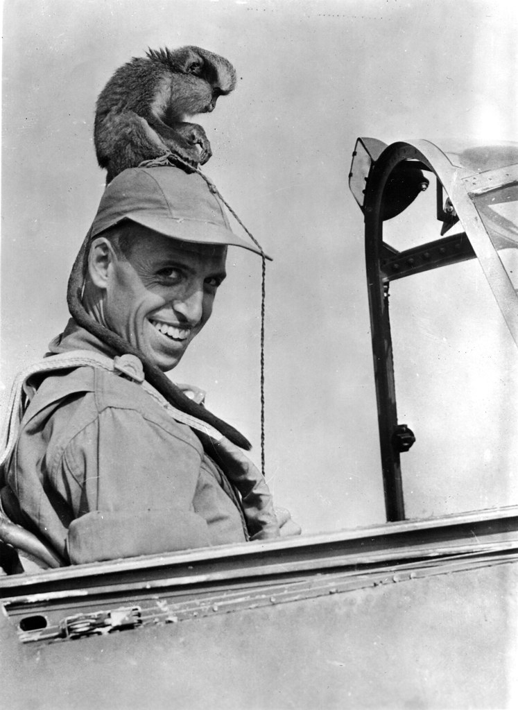 HistoryExtra reta con quiz sobre el Día D y la RAF