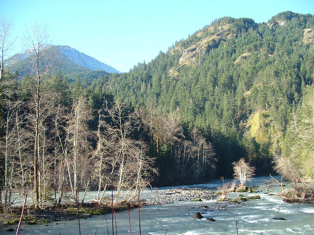 Salmones prosperan tras quitar presas del Klamath