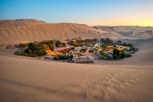 Los pingüinos de Perú, al borde por el cambio climático