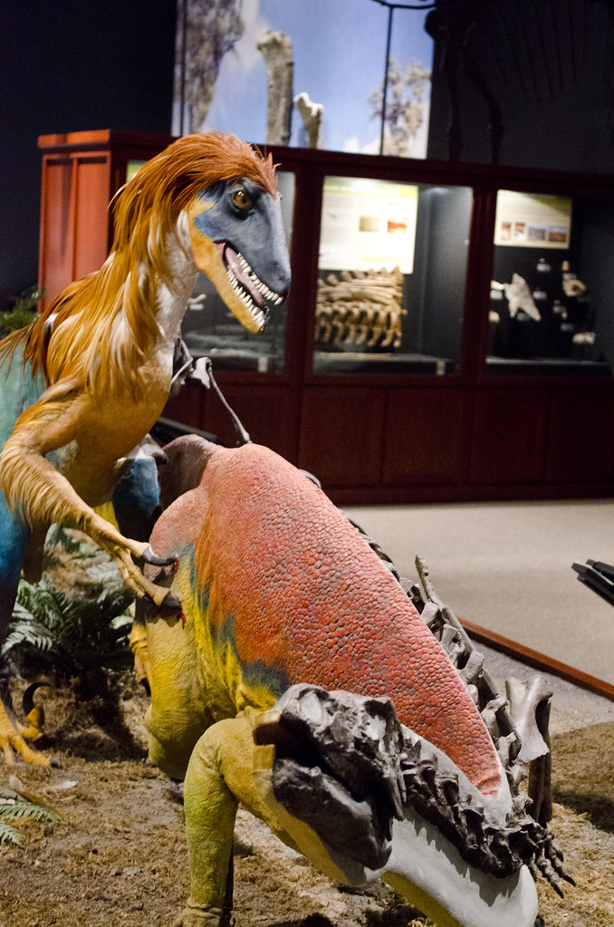 Hallan primeras plumas fósiles dentro de popó de dinosaurio