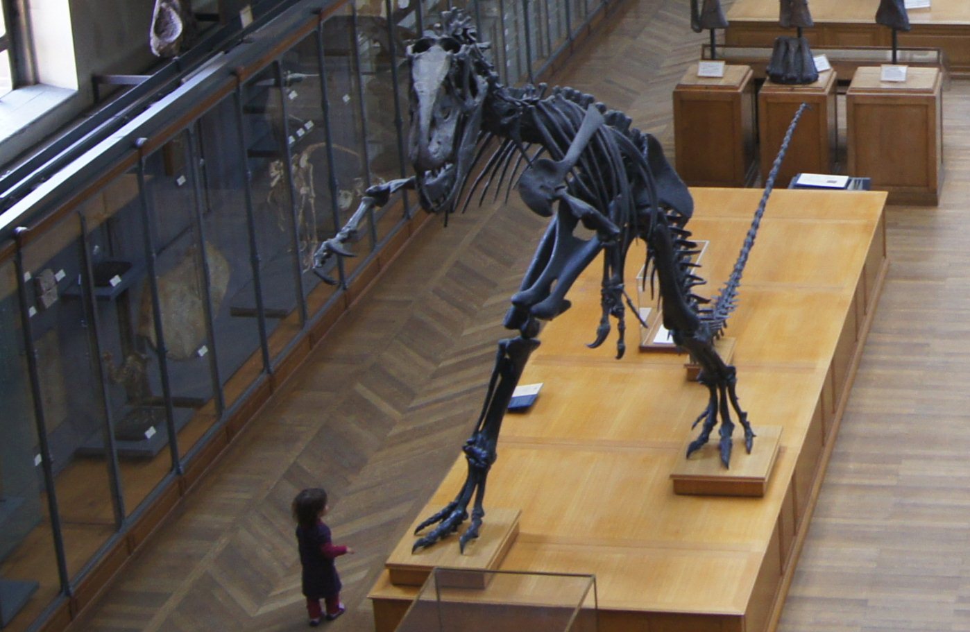 Cierra histórico museo de ciencias famoso por su T. Rex