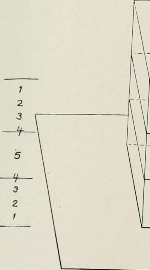 Imagen: Internet Archive Book Images. 34 fotos rarísimas de Reddit que no vas a poder ignorar