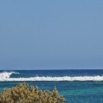 La UICN declara en peligro crítico a los arrecifes de coral