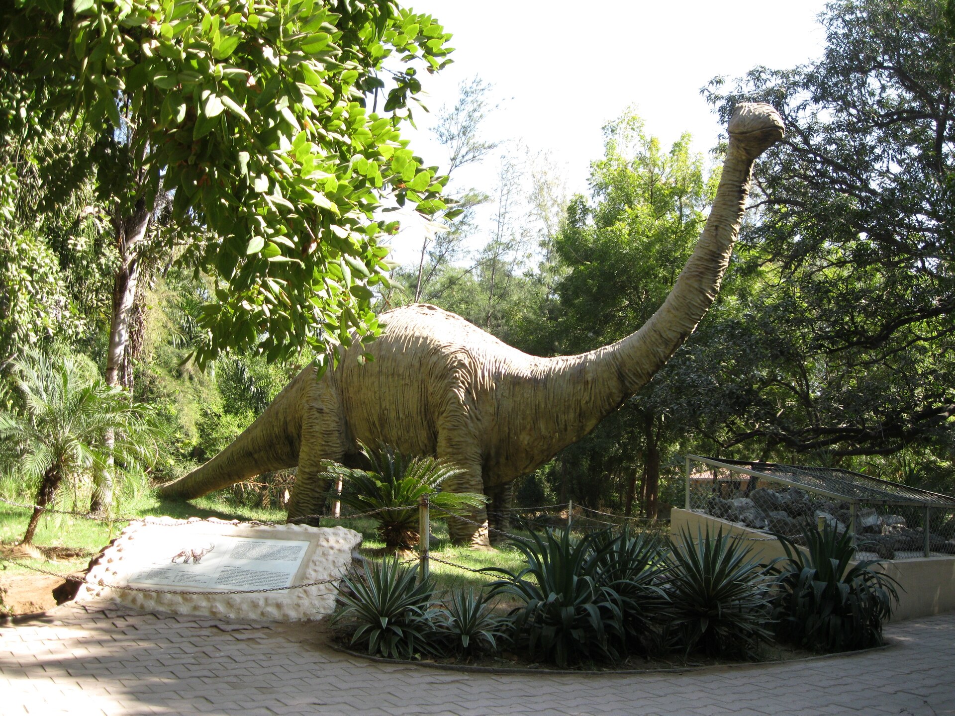 Esqueleto de dinosaurio 'Jodi' se vende en 47.3 mdd
