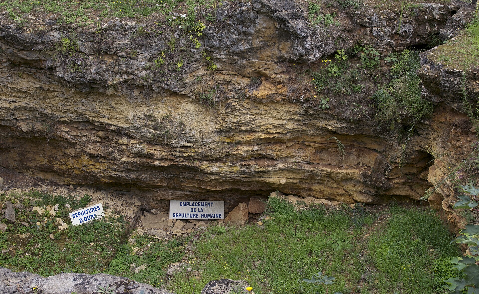 Un hueso neandertal delata una muerte violenta