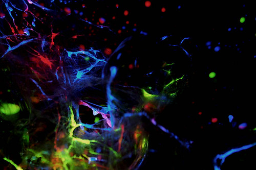 Nobel de Medicina 2026 premia la optogenética