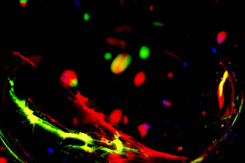 Nobel de Medicina 2026 premia avances en optogenética