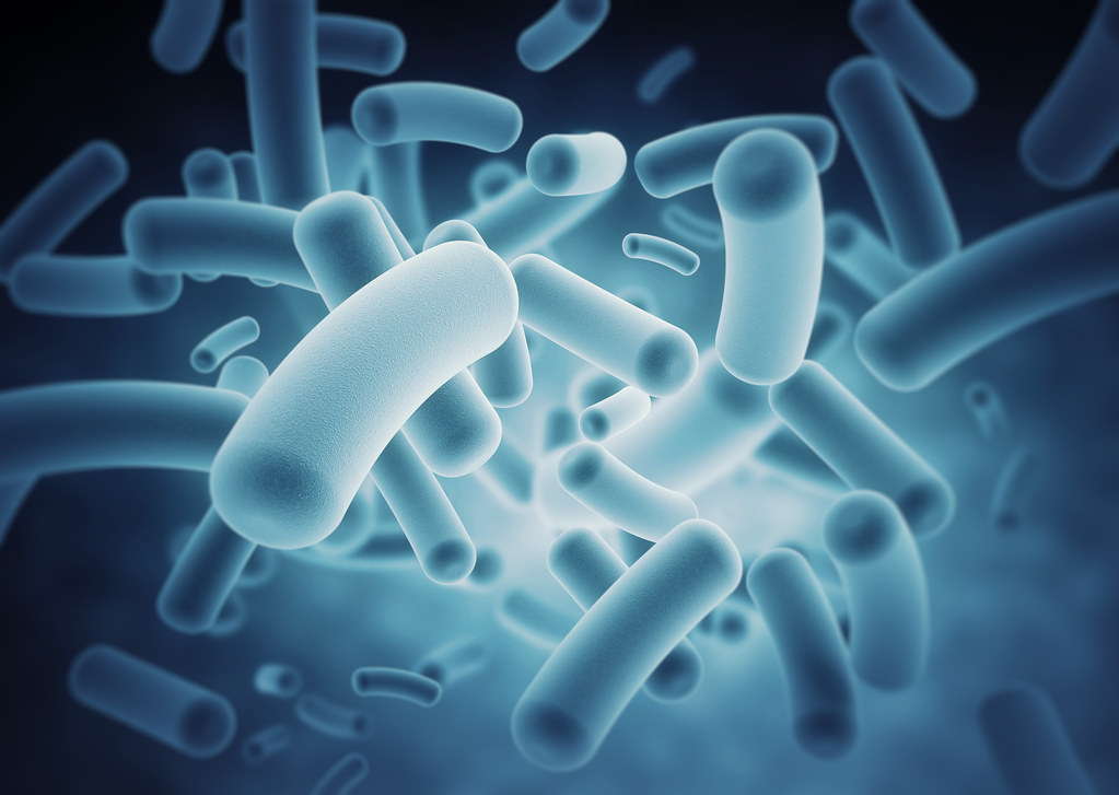 ¿El microbioma humano era más sano hace siglos?