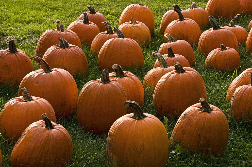 31 recetas de BuzzFeed para disfrutar el otoño y Halloween
