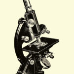 Subastan en Sotheby’s libros que cambiaron la ciencia