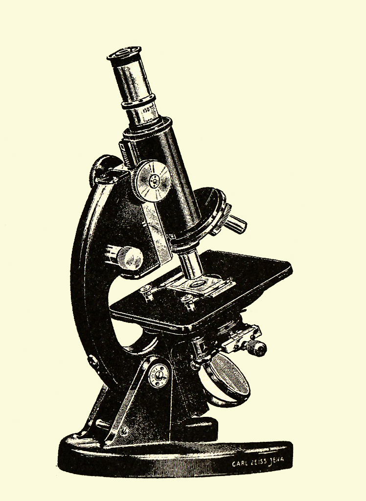 Imagen: Calsidyrose, BY 2.0 (vía Openverse). Subastan en Sotheby's libros que cambiaron la ciencia