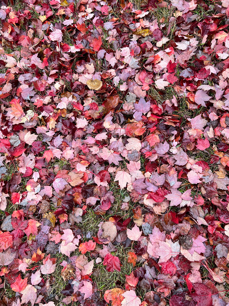 BuzzFeed reta a acertar texturas de otoño con zoom