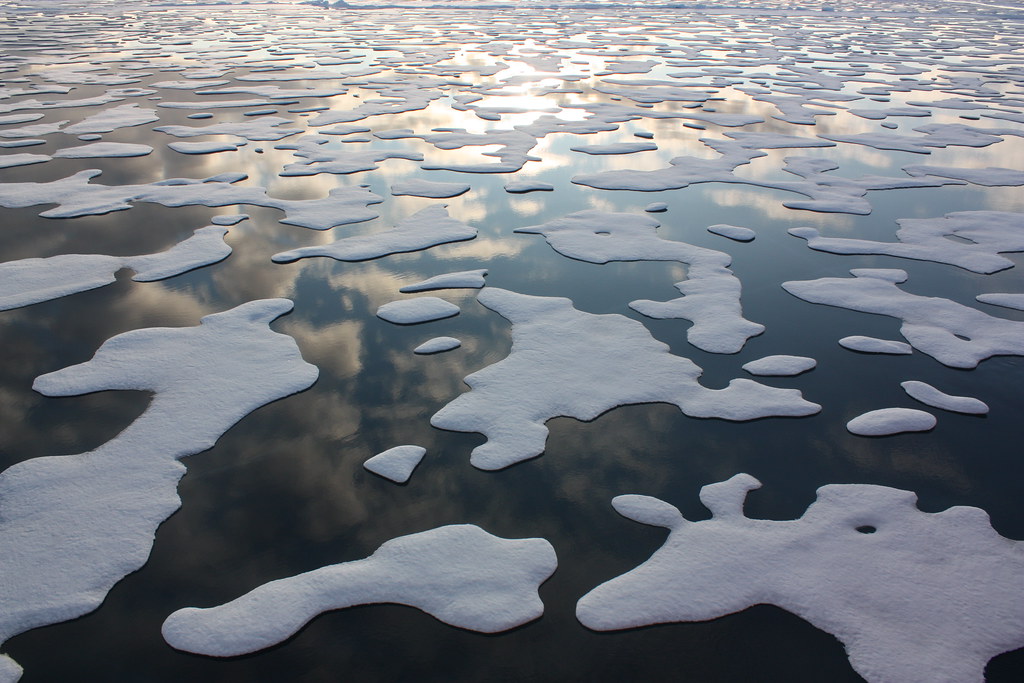 Beca MacArthur premia a científica experta en hielo marino