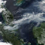 Borneo se asfixia: la crisis del humo tóxico en el sureste…