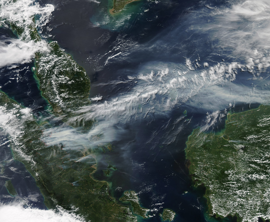 Imagen: NASA Goddard Photo and Video, BY 2.0 (vía Openverse). Borneo se asfixia: la crisis del humo tóxico en el sureste…