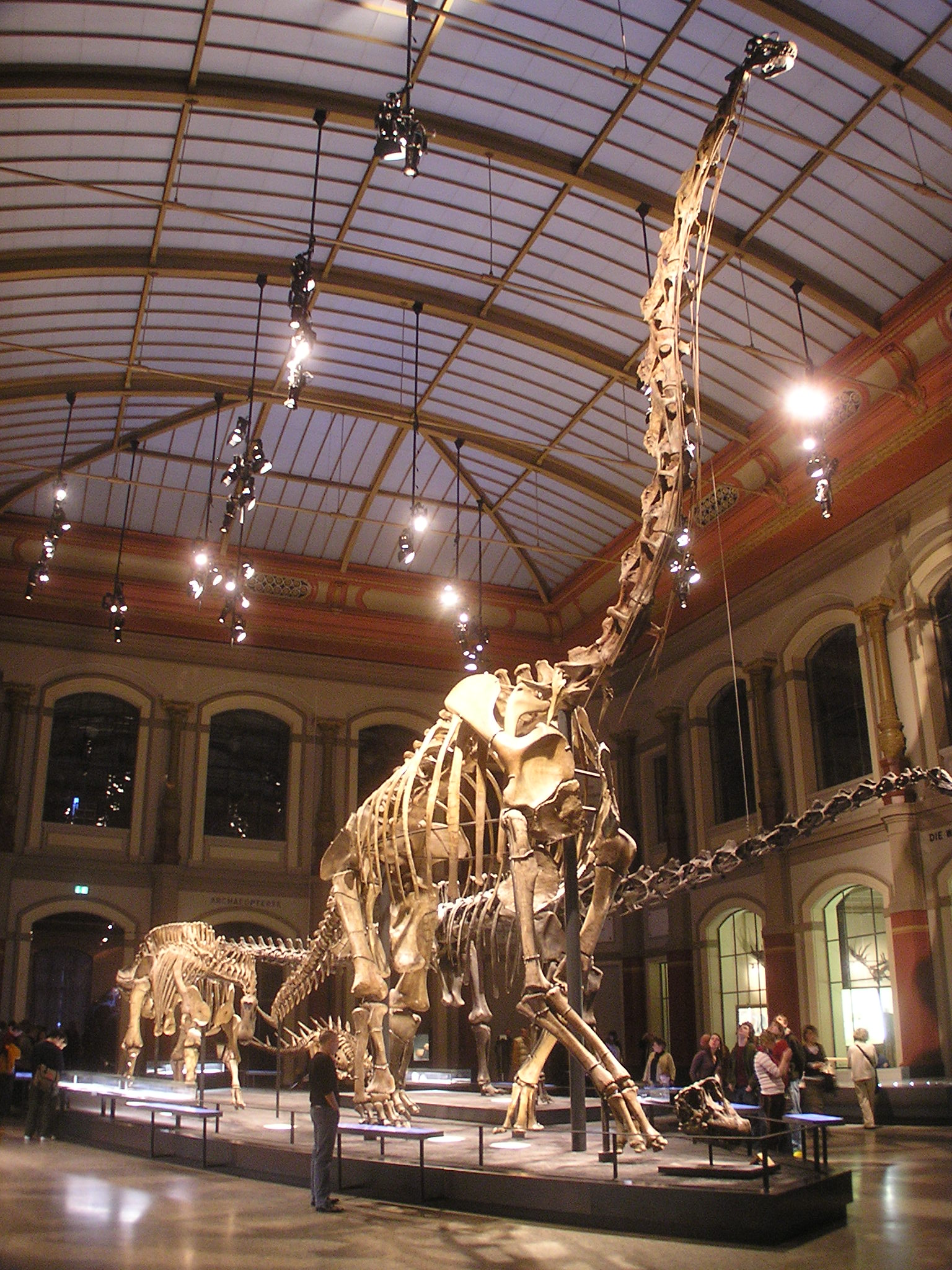 Subastan esqueleto de Nanotyrannus en NY hasta por 9 mdd