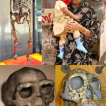 ¿Qué les pasó a los neandertales? La ciencia investiga