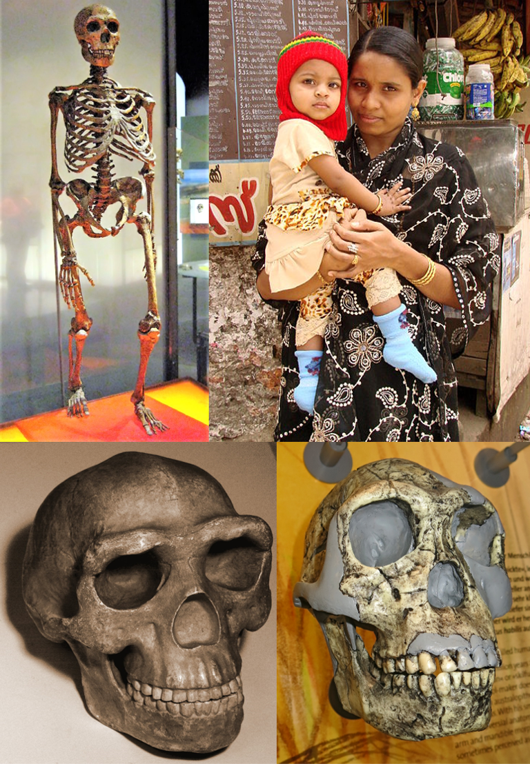 ¿Qué les pasó a los neandertales? La ciencia investiga