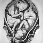 La historia del cuerpo femenino, de la peste al embarazo