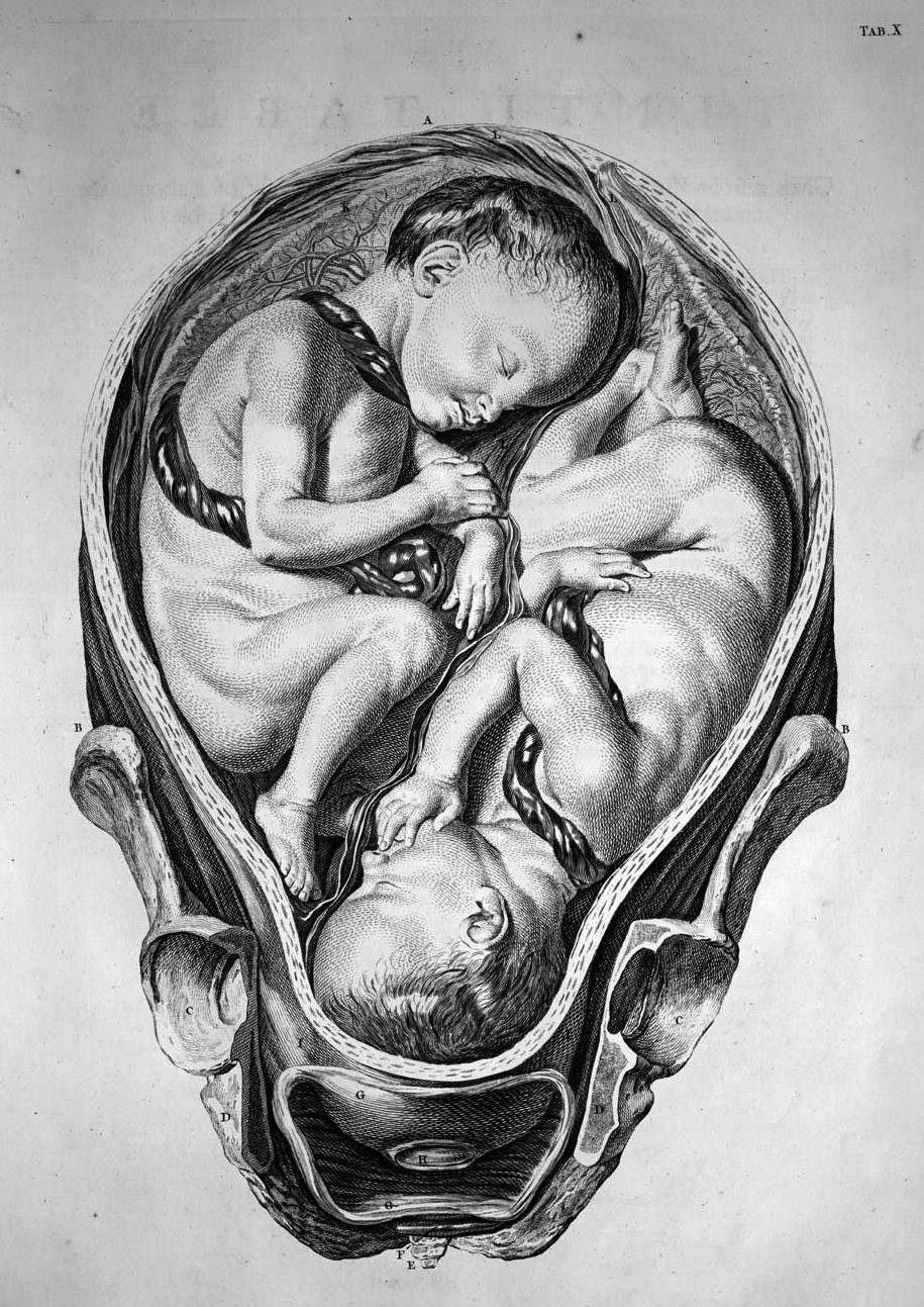 La historia del cuerpo femenino, de la peste al embarazo