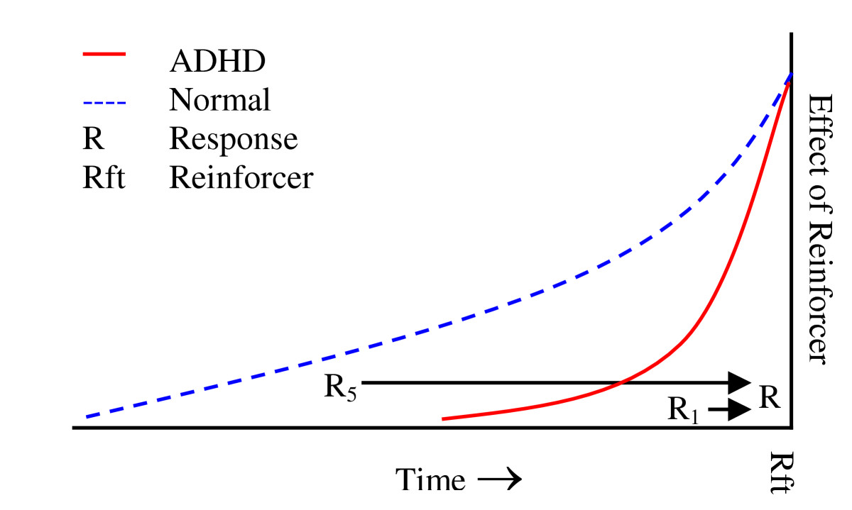 Imagen: Article by Aese Heidi and Terje Sagvolden.. ¿La forma de la cabeza influye en el riesgo de Alzheimer?